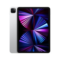 iPad Pro 11 Wi‑Fi 256GB D'ArgentoMHQV3TY/A