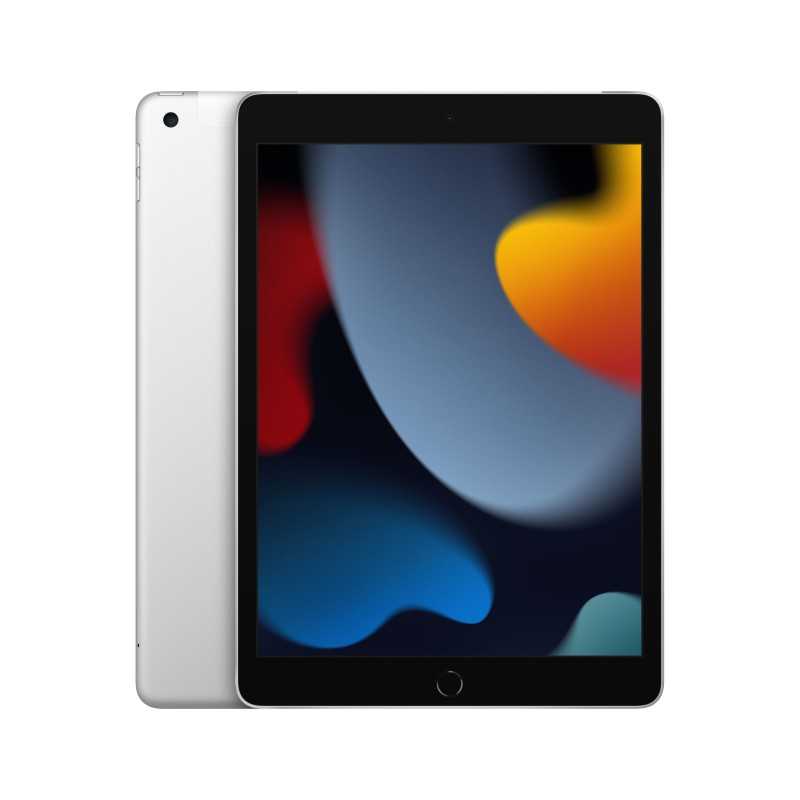 iPad 10.2 Wifi Cellulare 64GB D'ArgentoMK493TY/A