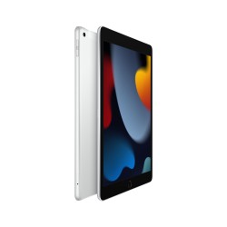 iPad 10.2 Wifi Cellulare 256GB D'Argento