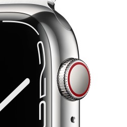 Apple Watch 7 GPS Cellulare 45mm D'Argento Acciaio Custodia D'Argento Milanese Ciclo Continuo