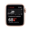 Apple Watch SE GPS Cellulare 40mm Oro AluMinium Custodia MaizeBianco Sport Ciclo ContinuoMKQY3TY/A