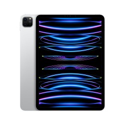 iPad Pro 11 Wifi 128GB D'Argento