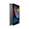 Acquista iPad 10.2 Wifi Cellulare 64GB Grigio da Apple A buon mercato|i❤ShopDutyFree.it