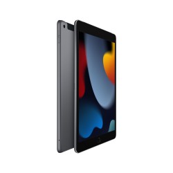 Acquista iPad 10.2 Wifi Cellulare 256GB Grigio da Apple A buon mercato|i❤ShopDutyFree.it