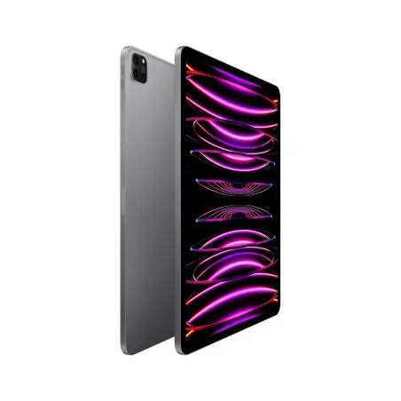 iPad Pro 12.9 Wifi 1TB Grigio