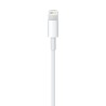 Acquista Cavo Lightning USBC 1m bianco da Apple A buon mercato|i❤ShopDutyFree.it