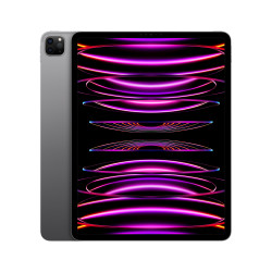 🤑 Saldi iPad Pro 12.9 Wifi 1TB Grigio