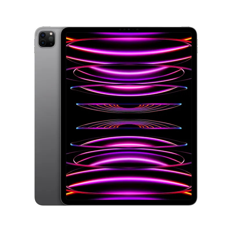 🤑 Saldi iPad Pro 12.9 Wifi 1TB Grigio