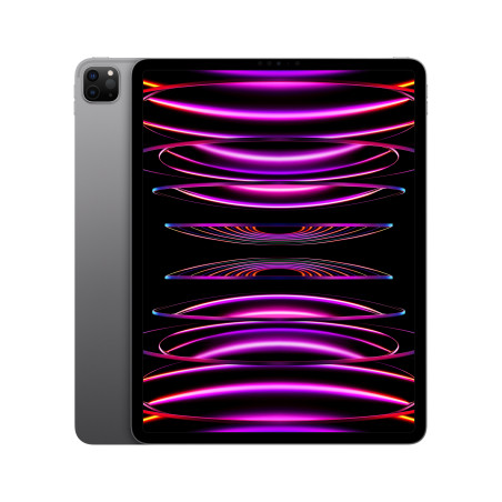 🤑 Saldi iPad Pro 12.9 Wifi 1TB Grigio