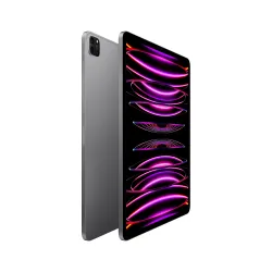 🤑 Saldi iPad Pro 12.9 Wifi 1TB Grigio 2