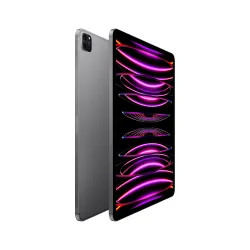 🤑 Saldi iPad Pro 12.9 Wifi Cellulare 512GB Grigio 4