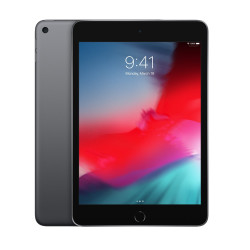 🤑 Saldi iPad Mini Wifi 256GB Grigio 2020