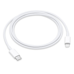 🤑 Saldi Cavo Lightning USB-C 1M