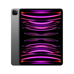 🤑 Saldi iPad Pro 12.9 Wifi Cell 512GB Grigio Ricondizionato