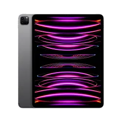 🤑 Saldi iPad Pro 12.9 Wifi Cell 512GB Grigio Ricondizionato 1