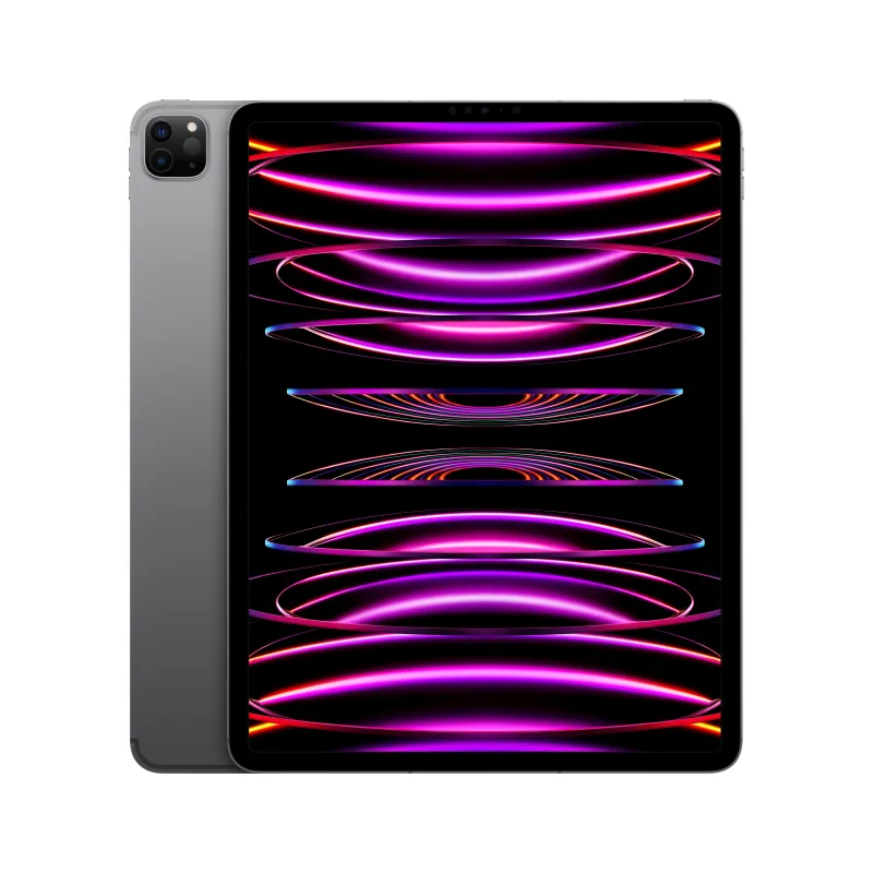 🤑 Saldi iPad Pro 12.9 Wifi Cell 512GB Grigio Ricondizionato