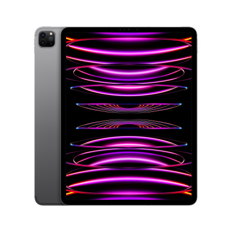 🤑 Saldi iPad Pro 12.9 Wifi Cell 512GB Grigio Ricondizionato