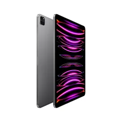 🤑 Saldi iPad Pro 12.9 Wifi Cell 512GB Grigio Ricondizionato 2
